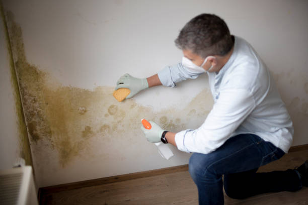 Best Forensic Mold Investigation  in Redstone Arsen, AL