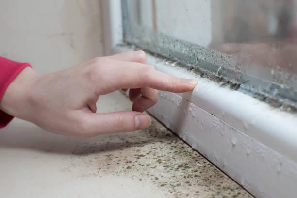 Best Airborne Mold Testing  in Redstone Arsen, AL