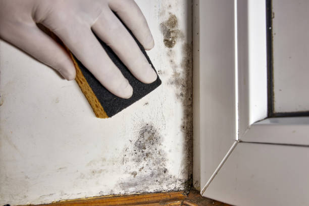 Best Mold Odor Removal Services  in Redstone Arsen, AL
